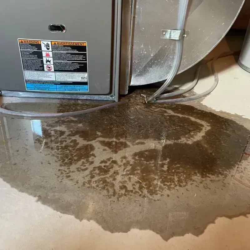 Appliance Leak Cleanup in Des Allemands, LA